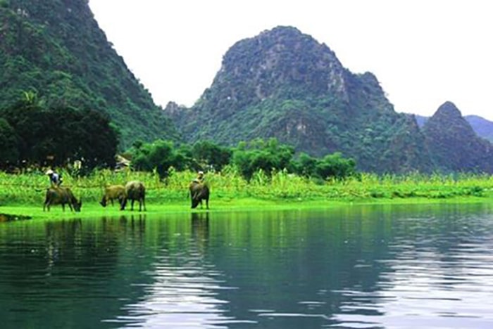 Phong Nha Cave and Paradise Cave Tour