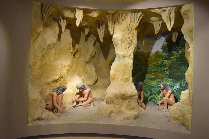 Re-enacting prehistoric life