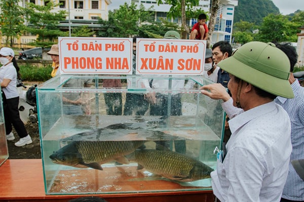 Son River Grass Carp Festival